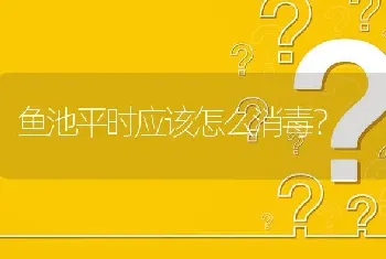 鱼池平时应该怎么消毒?