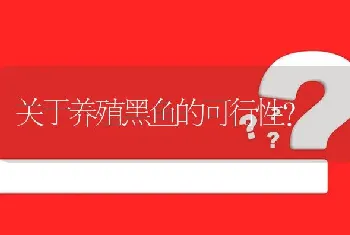 关于养殖黑鱼的可行性?