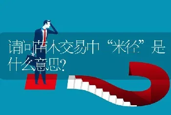 请问苗木交易中“米径”是什么意思?