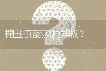 棉田打错药如何解救?