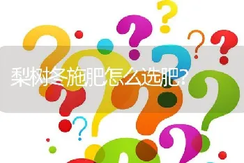 梨树冬施肥怎么选肥?