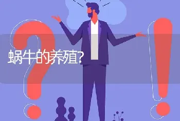 蜗牛的养殖?