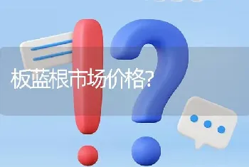 板蓝根市场价格?