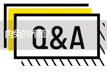 松树,檀树都有啥害虫?