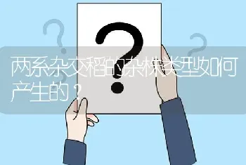 两系杂交稻的杂株类型如何产生的?