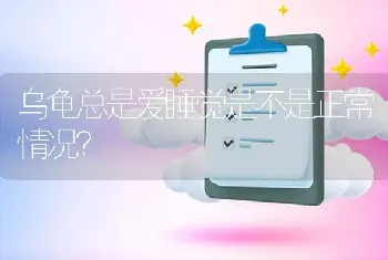 乌龟总是爱睡觉是不是正常情况?