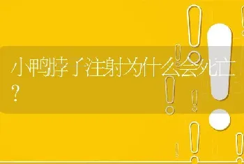 小鸭脖子注射为什么会死亡?