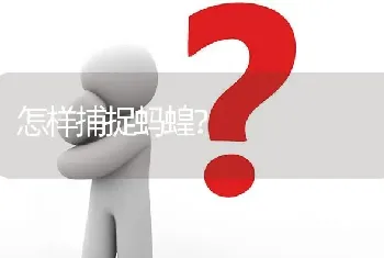 怎样捕捉蚂蝗?