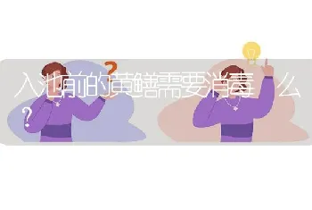 入池前的黄鳝需要消毒 么?