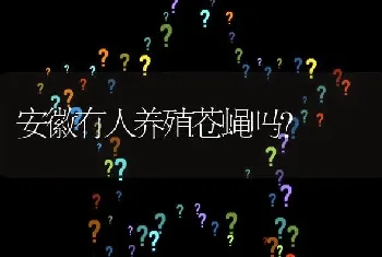 安徽有人养殖苍蝇吗?