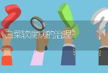 白菜软腐病的治理?