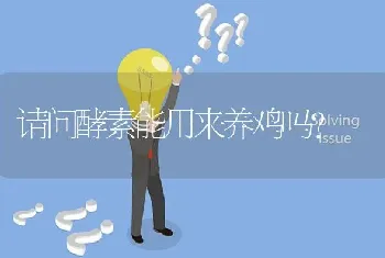 请问酵素能用来养鸡吗?