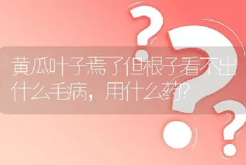 黄瓜叶子焉了但根子看不出什么毛病,用什么药?