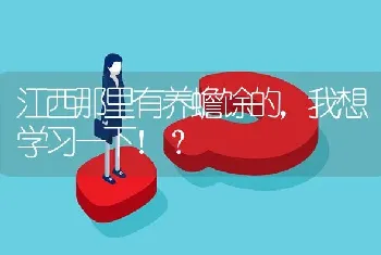 江西那里有养蟾馀的,我想学习一下！?