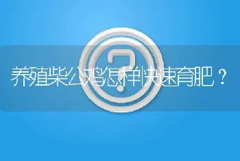 养殖柴公鸡怎样快速育肥?