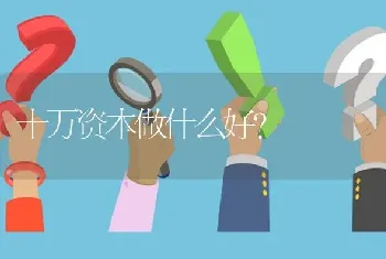 十万资本做什么好?