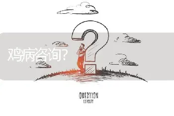 鸡病咨询?