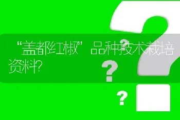 “盖都红椒”品种技术栽培资料?