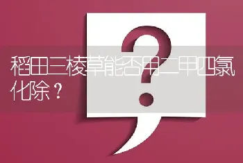 稻田三棱草能否用二甲四氯化除?