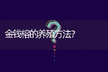 金钱榕的养殖方法?