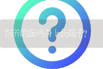 适合肥东大棚栽培的草莓新品种有哪几种?