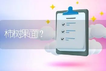 柿树果面?