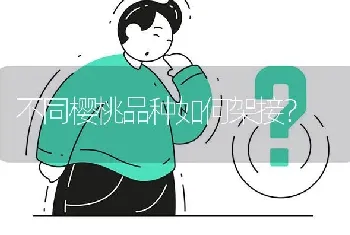 不同樱桃品种如何架接?