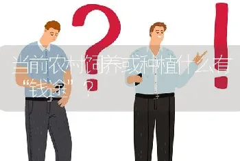 当前农村饲养或种植什么有“钱途”?