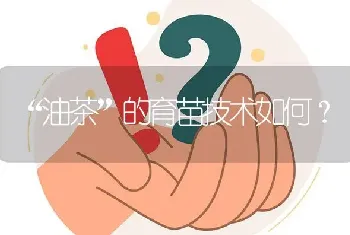 “油茶”的育苗技术如何?