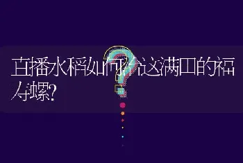 直播水稻如何治这满田的福寿螺?