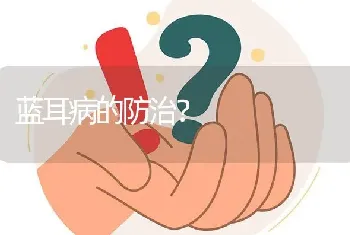 蓝耳病的防治?