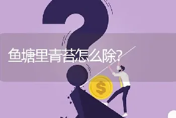 鱼塘里青苔怎么除?