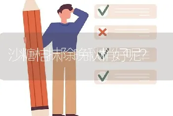 沙糖桔抹除晚秋梢好呢?