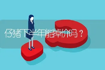 仔猪下半年能掉价吗?