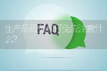 生产后母兔和仔兔应注意什么?