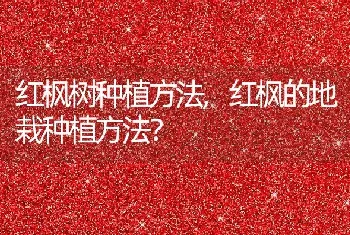 翠芦莉为什么叫蓝花草