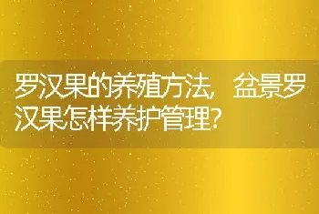 罗汉果的养殖方法