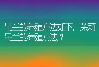 吊兰的养殖方法如下