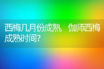 西梅几月份成熟