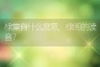 棣棠有什么寓意