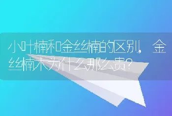 金丝楠木为什么那么贵