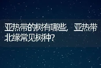 亚热带的树有哪些