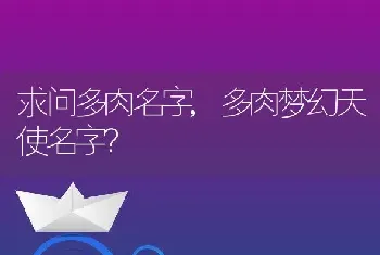 多肉梦幻天使名字