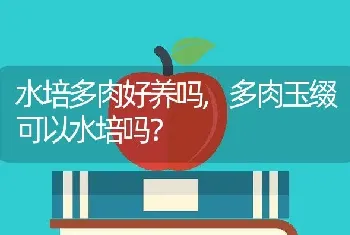 多肉玉缀可以水培吗