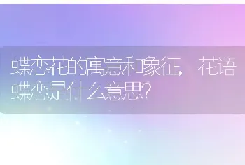 花语蝶恋是什么意思