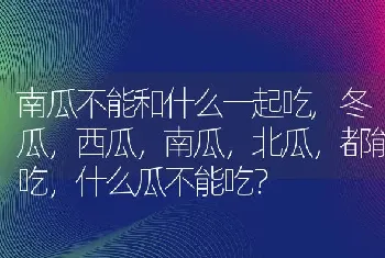 南瓜不能和什么一起吃