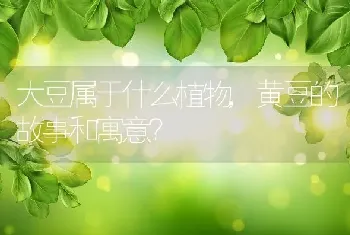 大豆属于什么植物