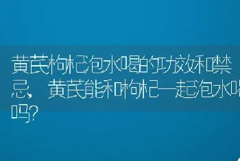 黄芪枸杞泡水喝的功效和禁忌