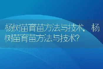 杨树苗育苗方法与技术