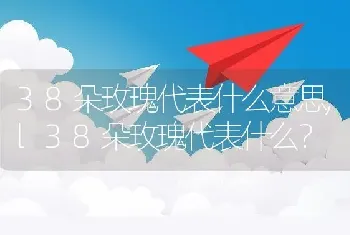 38朵玫瑰代表什么意思